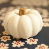 セリアのハロウィンコーナーで見つけた白かぼちゃ。