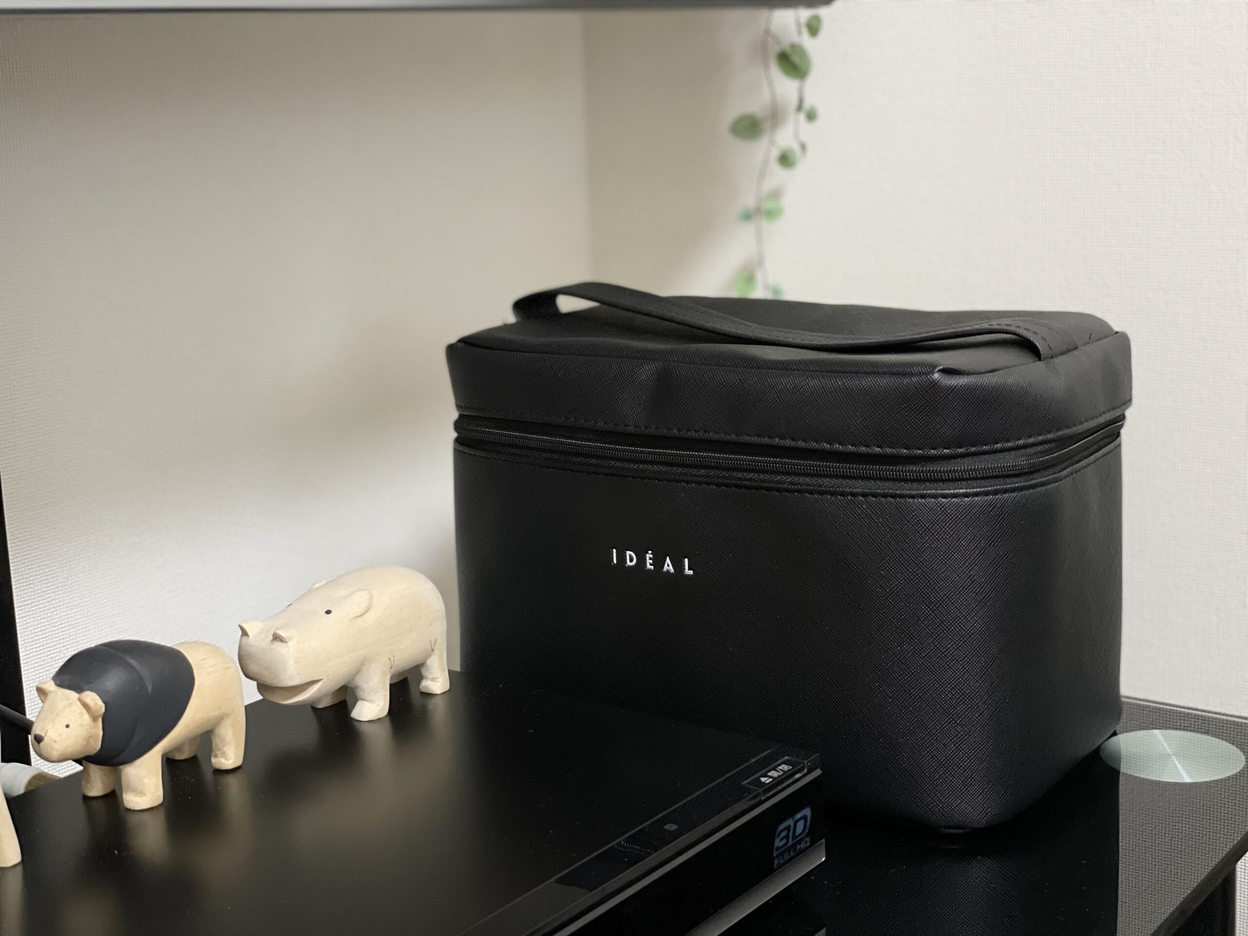 100均キャンドゥのidealバニティポーチに収納したモノ めんどくさがりやのシンプルライフ